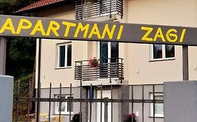 Apartmani Zagi